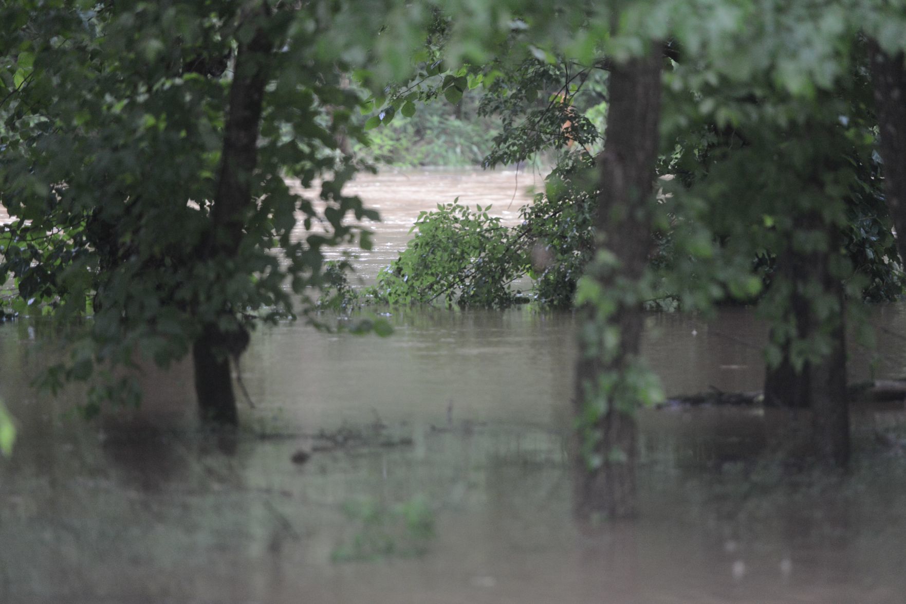 Flood 3.jpg